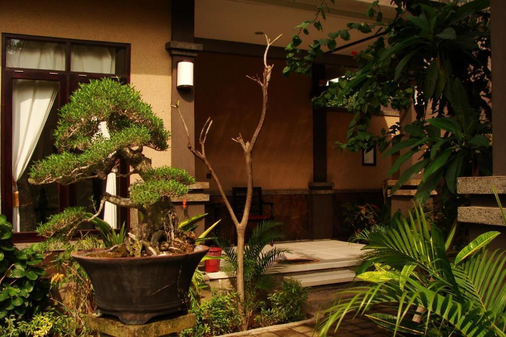 Doubleyou Homestay Pemuteran Extérieur photo